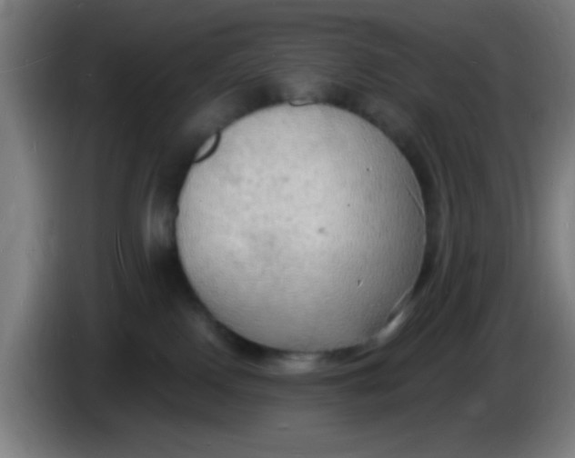 X0000085280090200703301925