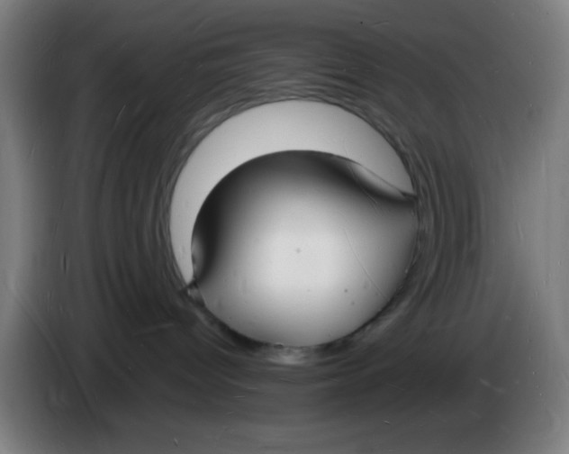 X0000085280096200703301925