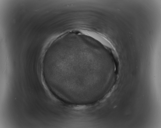 X0000085280097200703301925