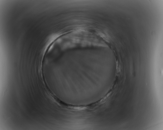 X0000085280099200703301925