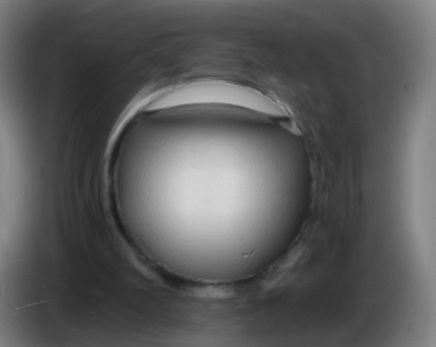 X0000085280102200703301925