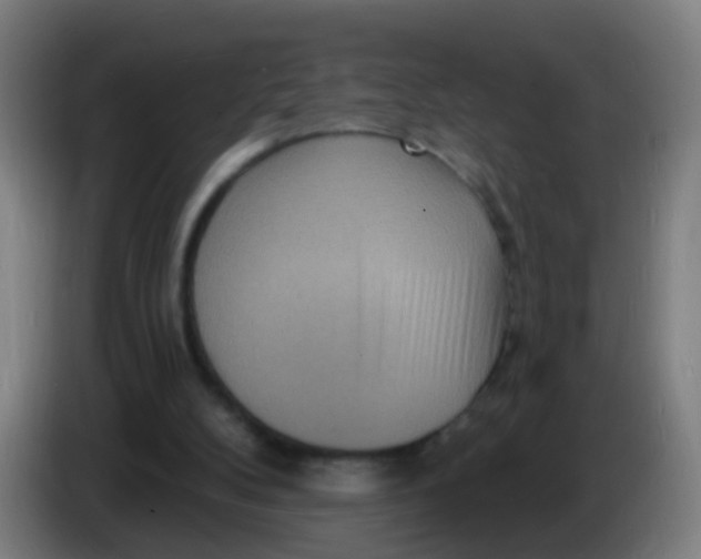 X0000085280104200703301924