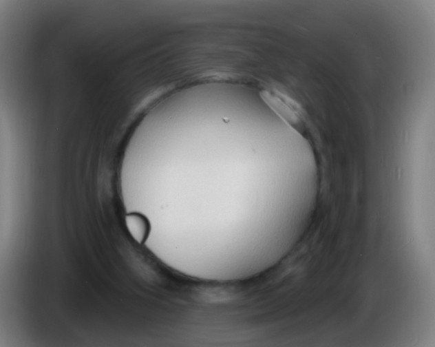 X0000085280106200703301924