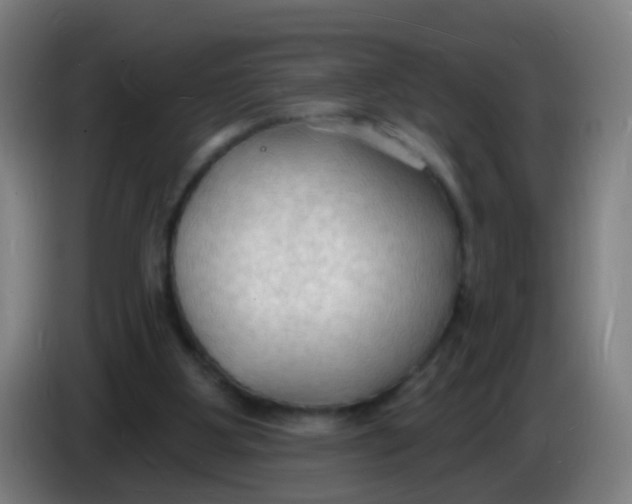 X0000085280107200703301924