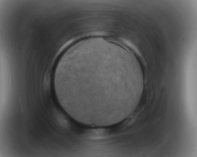 X0000085280108200703301924