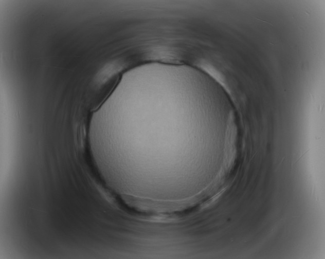 X0000085280109200703301924