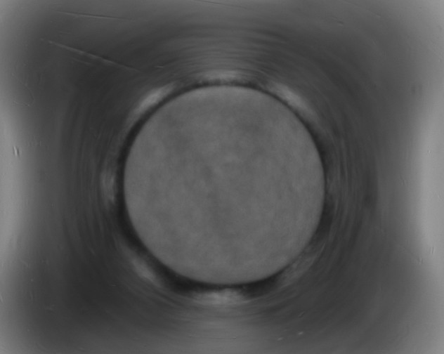 X0000085280112200703301924