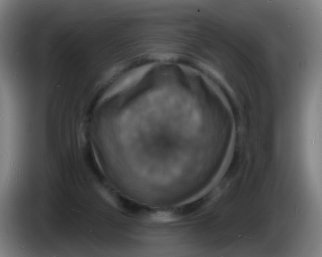 X0000085280114200703301924