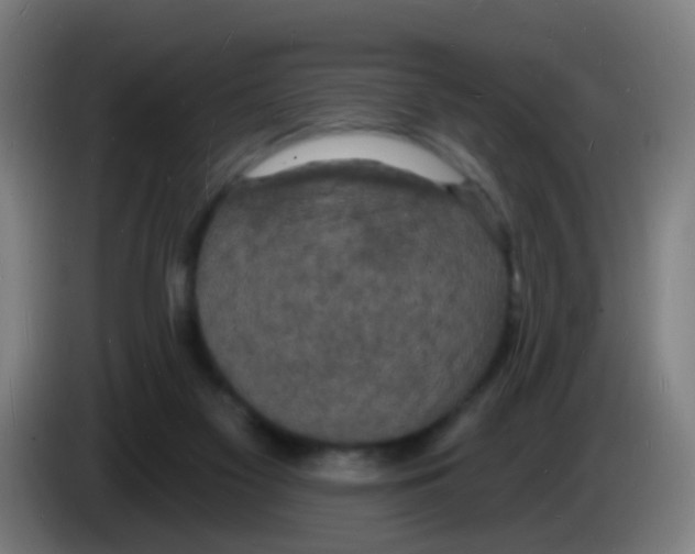 X0000085280117200703301924