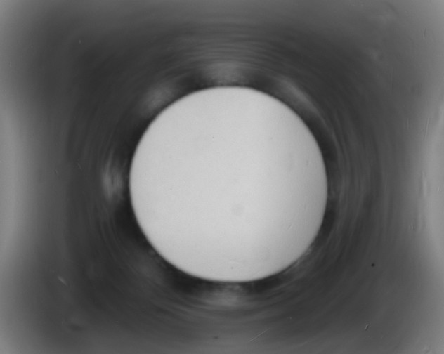 X0000085280124200703301924