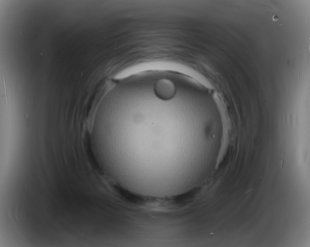 X0000085280125200703301924