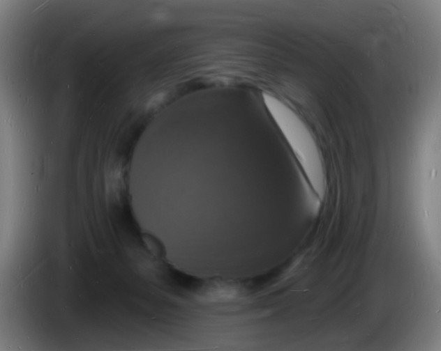 X0000085280127200703301924