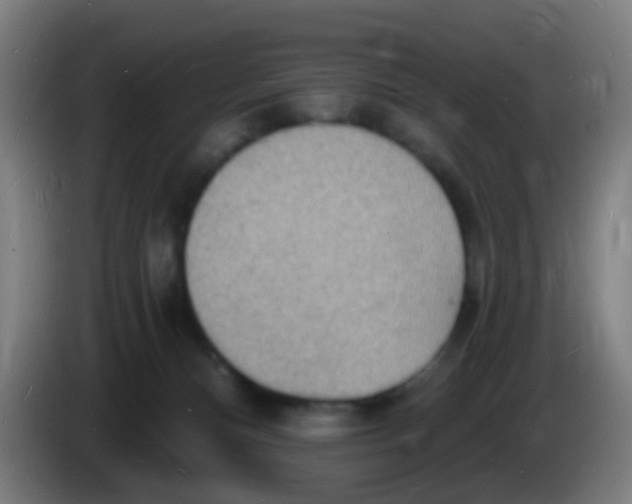 X0000085280128200703301924