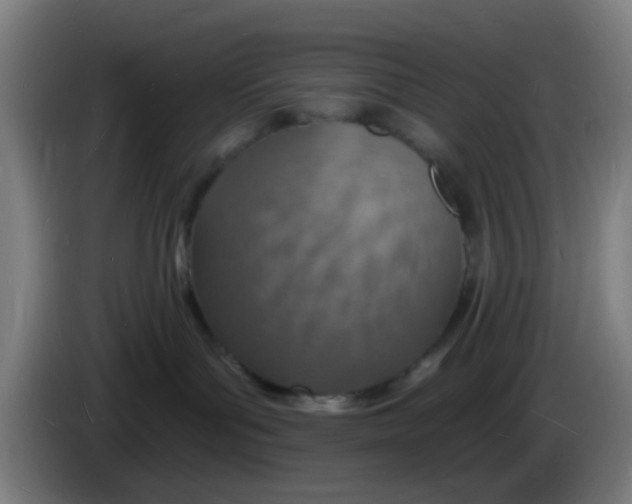 X0000085280143200703301924