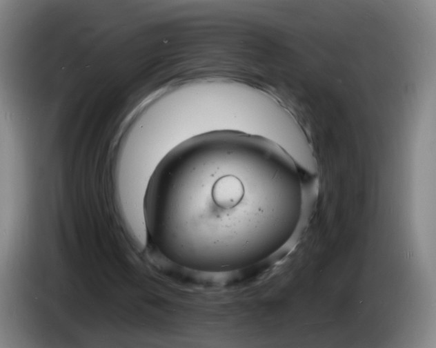 X0000085280146200703301923