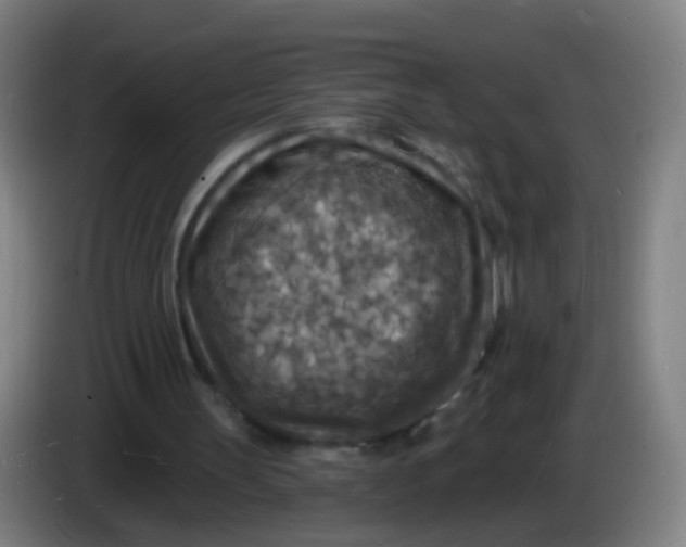 X0000085280147200703301923