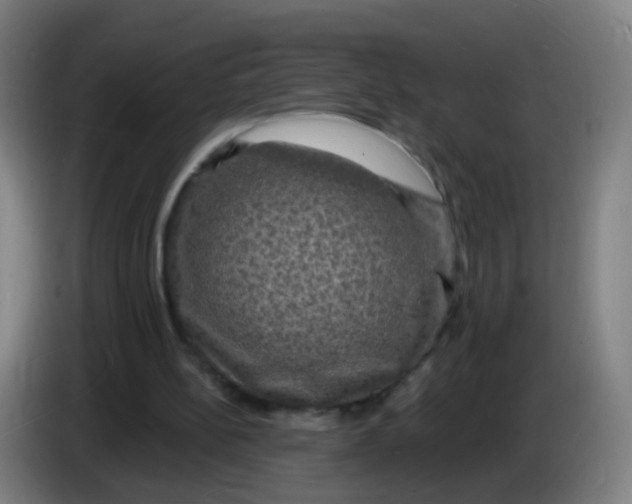 X0000085280148200703301923