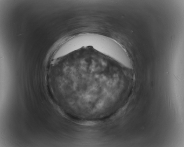 X0000085280149200703301923