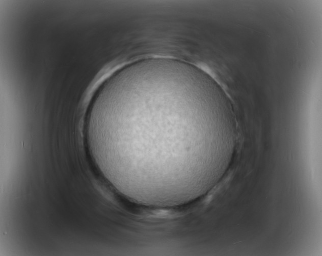 X0000085280151200703301923