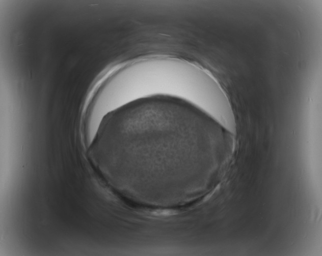 X0000085280152200703301923