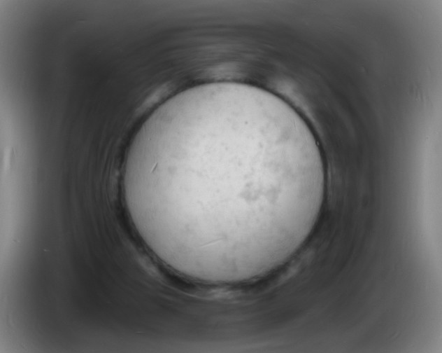 X0000085280153200703301923