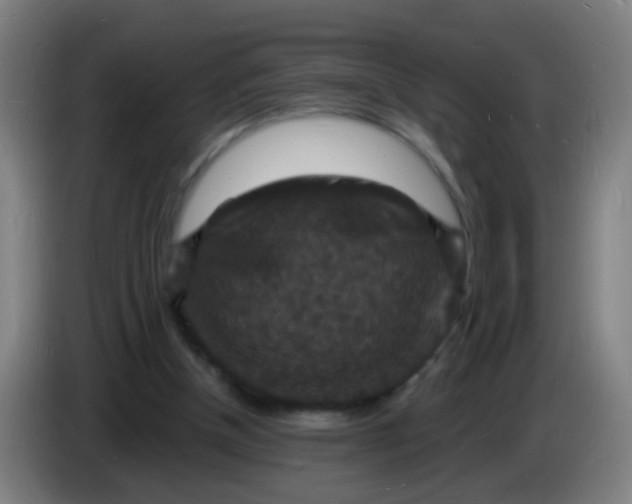 X0000085280154200703301923