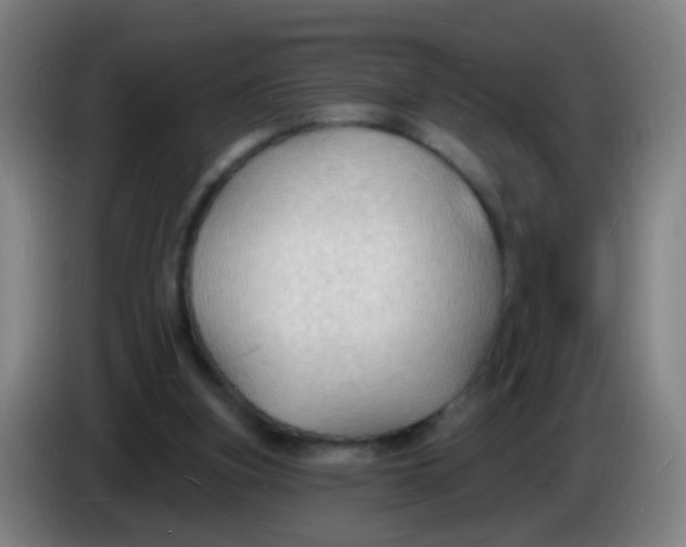 X0000085280155200703301923