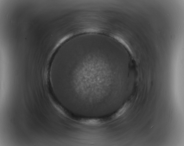 X0000085280156200703301923