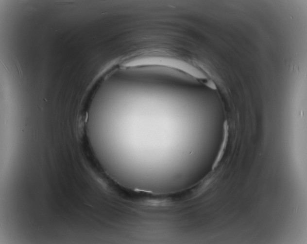 X0000085280160200703301923