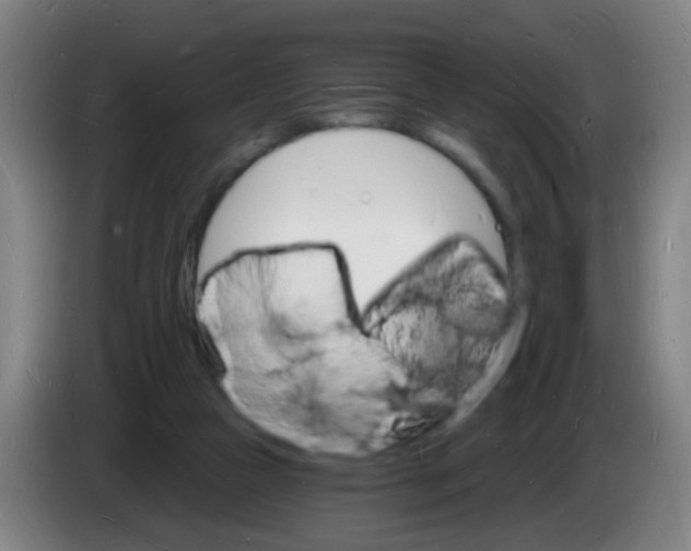 X0000085280161200703301923