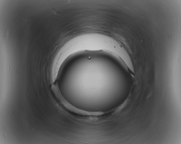 X0000085280162200703301924