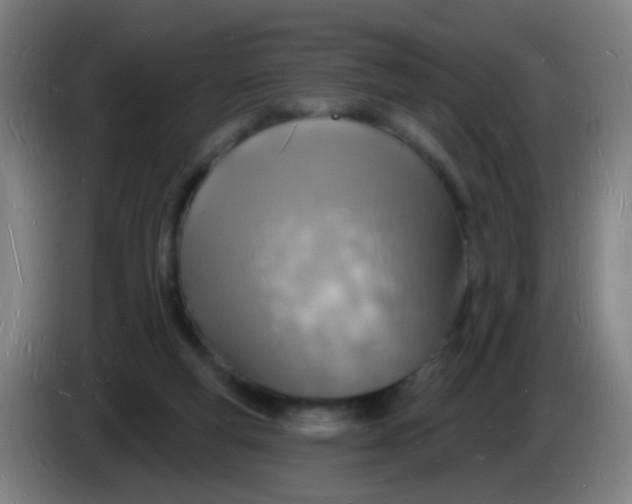 X0000085280163200703301924