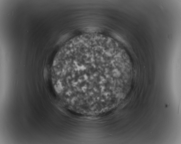 X0000085280165200703301924