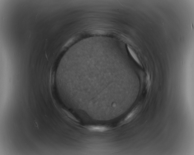 X0000085280168200703301924