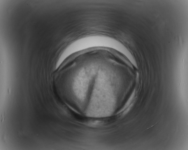 X0000085280174200703301924