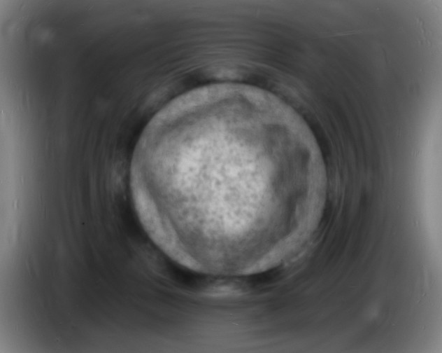 X0000085280175200703301924