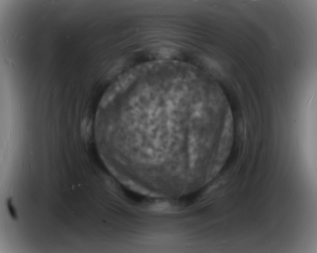 X0000085280177200703301924