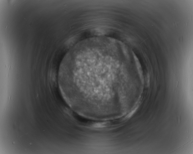 X0000085280178200703301924