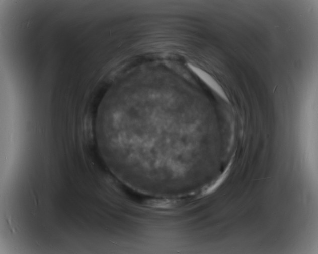 X0000085280182200703301924