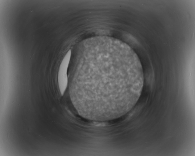 X0000085280185200703301924