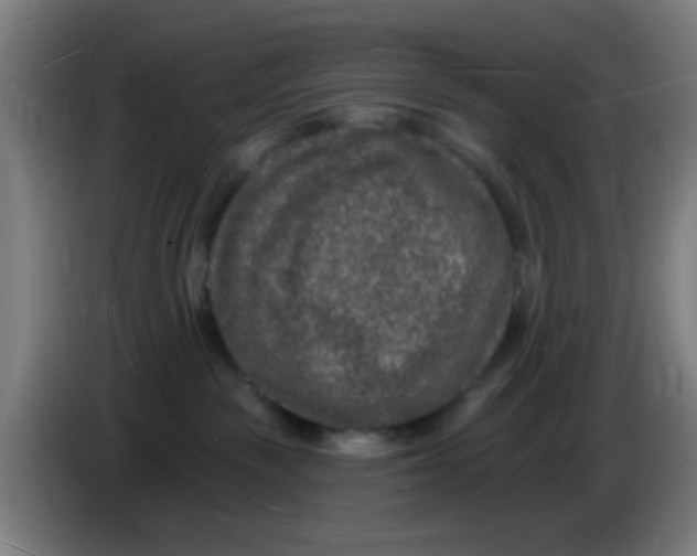 X0000085280189200703301924