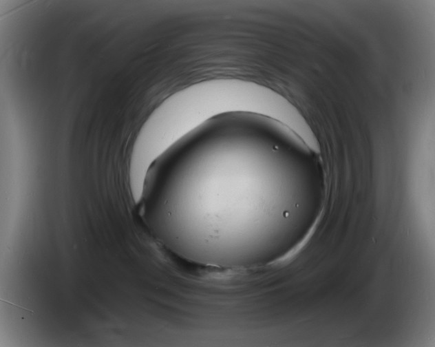 X0000085280190200703301924