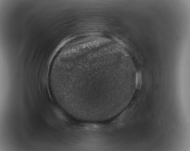 X0000085280195200703301923