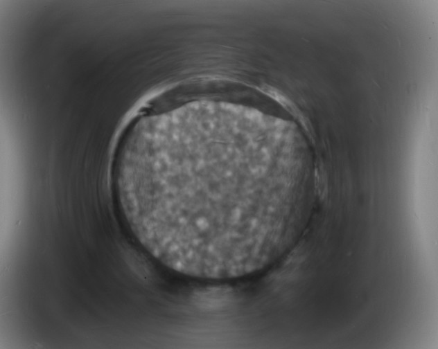 X0000085280196200703301923