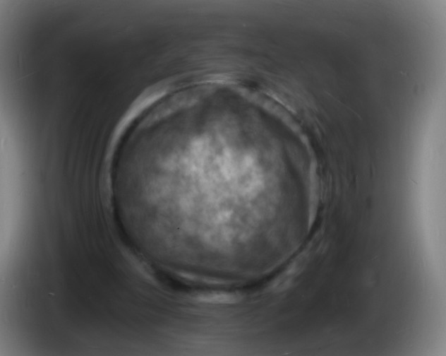 X0000085280198200703301923