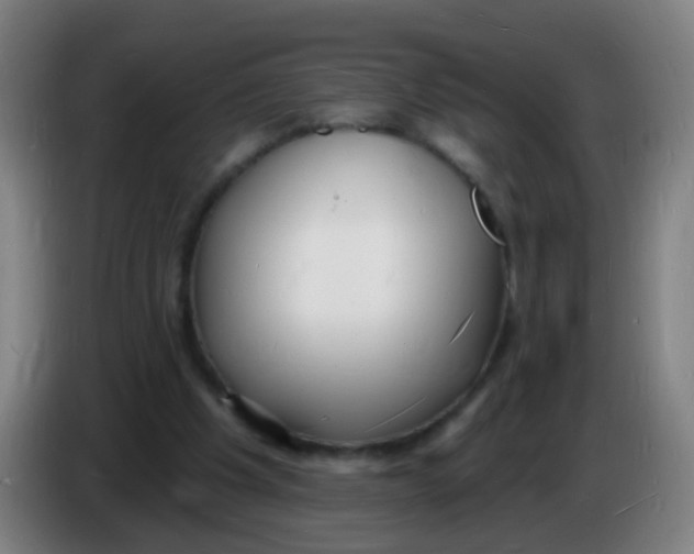 X0000085280201200703301923