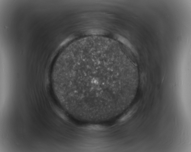 X0000085280203200703301923