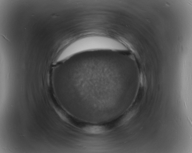 X0000085280205200703301923