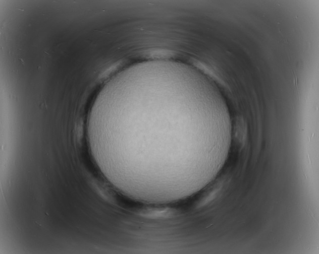 X0000085280206200703301923