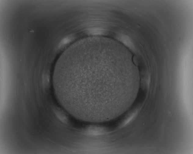 X0000085280207200703301923